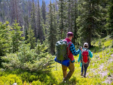 Eco Tourism Guide to Responsible Travel and Nature Conservation