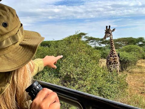 Eco-Friendly Safari Tours Guide: Wildlife Travel and Nature Insights
