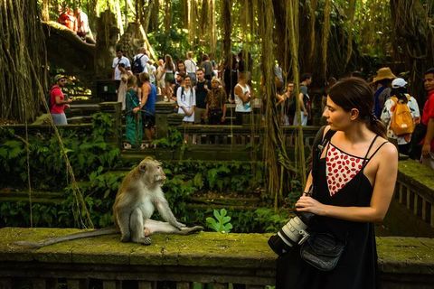 Wildlife Park Visits Guide: Essential Planning for Visitors