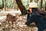Wildlife Conservation Travel Guide: Protect Nature Habitats