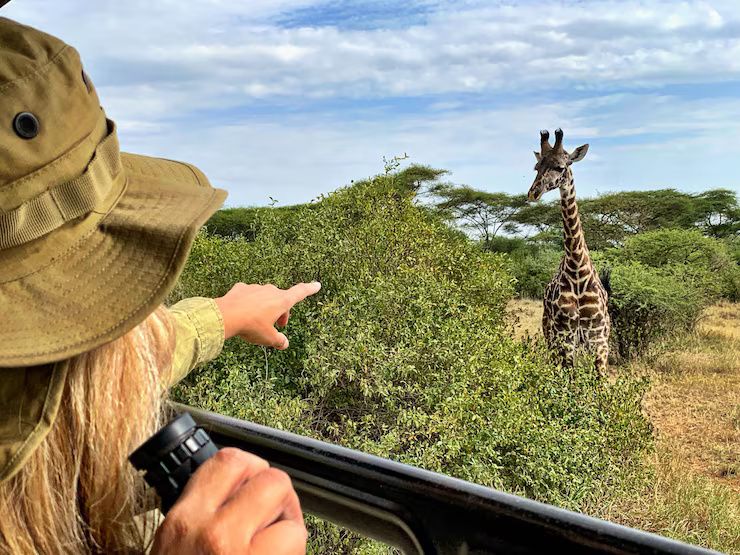 Eco-Friendly Safari Tours