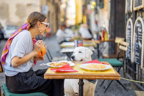 Compare International Street Food Destinations: Global Food Guide